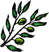FD01105_.WMF (15746 bytes)
