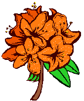 NA00830_.WMF (22372 bytes)