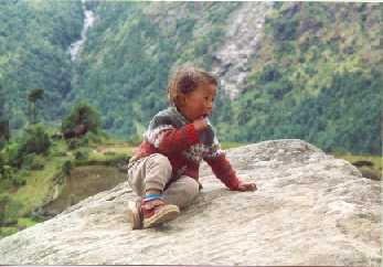 Young observer.jpg (13577 bytes)