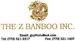 Z Bamboo logo.bmp (100494 bytes)